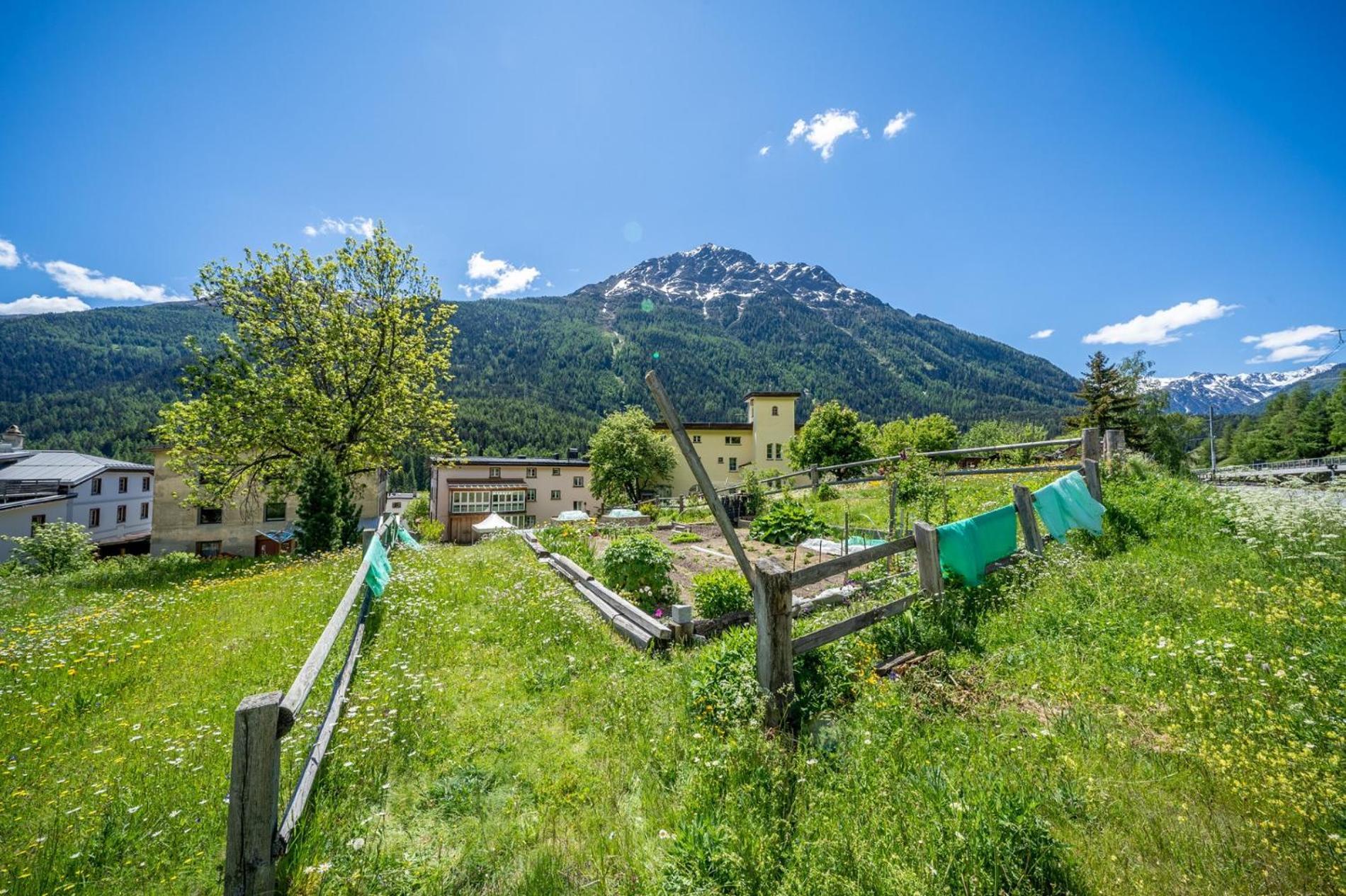 Chasa Plazza Gronda Daire Lavin Dış mekan fotoğraf